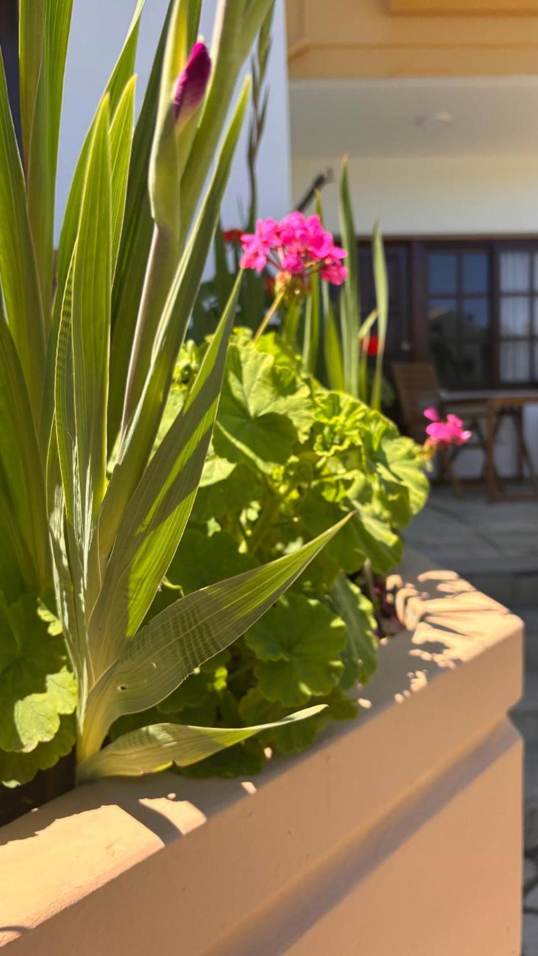 Menelaos Apartments Daratsos ภายนอก รูปภาพ
